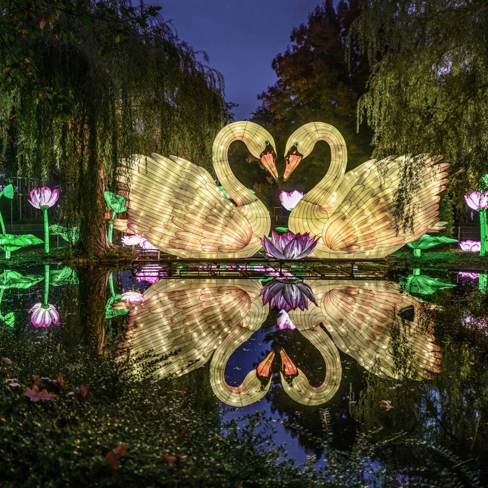 Lichterfestival im Zoo: China Lights im Klever Tiergarten avancieren erneut zum Besuchermagneten