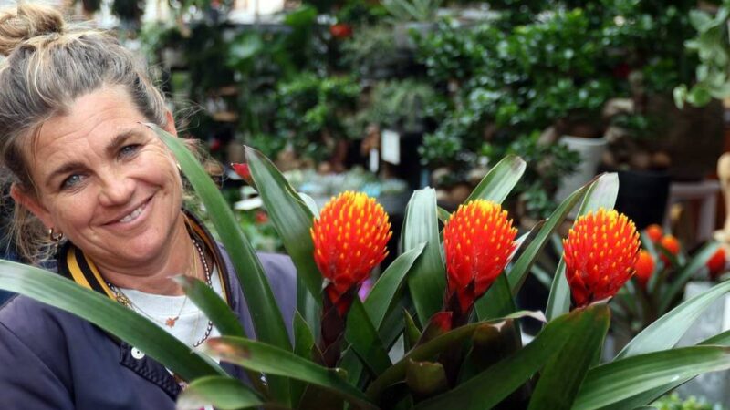 Herbstmarkt in Opladen: Gemütlich, vielseitig und beliebt