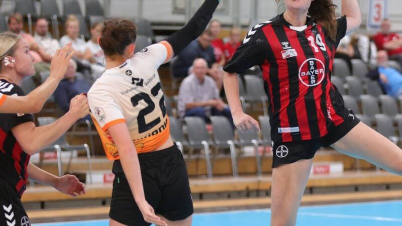 40 Minuten auf Augenhöhe: Was den Elfen Mut machen sollte
