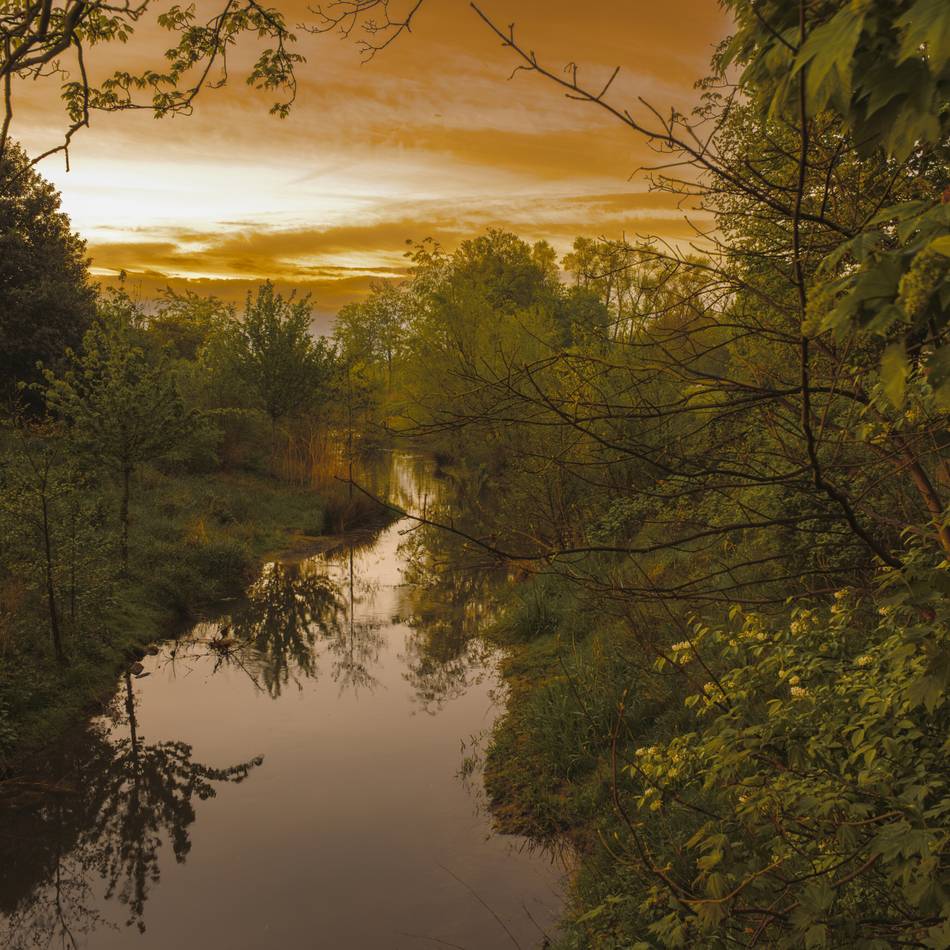 Fotowettbewerb zur Renaturierung der Düssel: Ist das noch Düsseldorf? Wie sich die Natur entlang der Düssel verändert hat