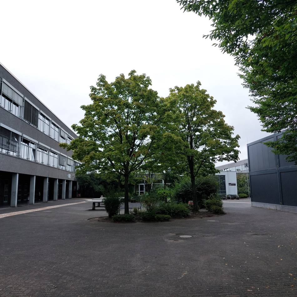 Bildung in Meerbusch: Gesamtschule für Medienscout-Projekt ausgezeichnet