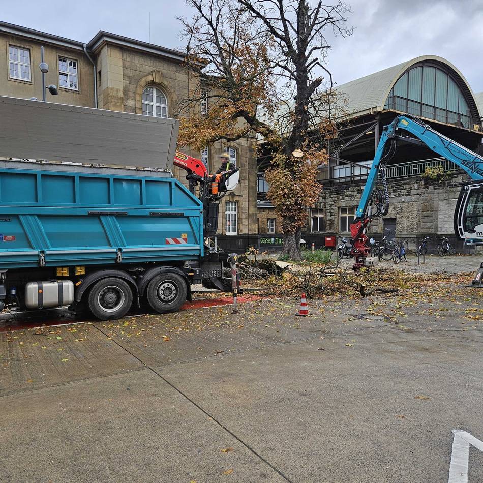 Nach Pilzbefall: Rosskastanie am Gladbacher Hauptbahnhof gefällt