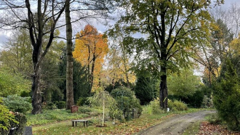 Die Neusser Bestattungskultur wandelt sich: „Warum nicht die Beerdigung wie die Hochzeit planen?“