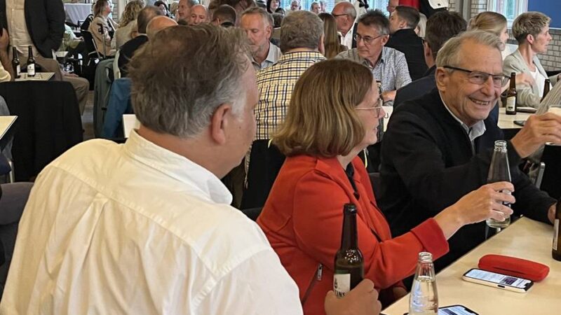 Linke und FDP: Einzelkämpfer könnten im Rat wichtig werden