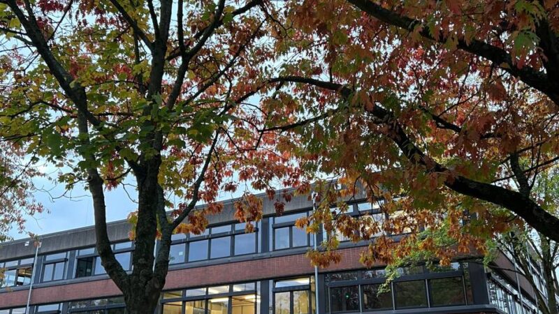 Energieverschwendung am Berufskolleg Wesel?: Heizung läuft tagelang auf Hochtouren – „Die Schule ist momentan eine Sauna“