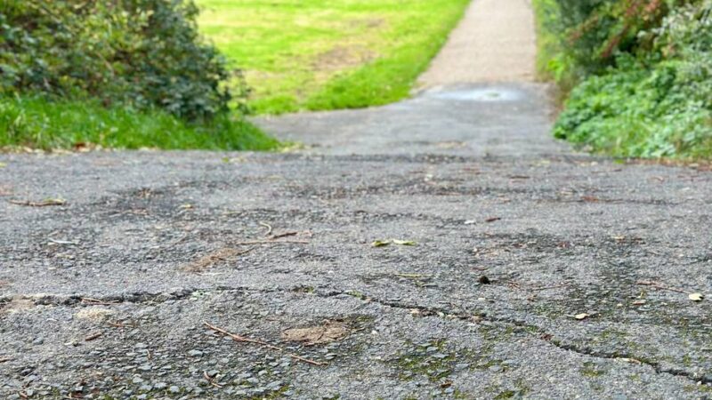 Bauarbeiten in der Südstadt: Weg zur Waldwiese soll flacher werden