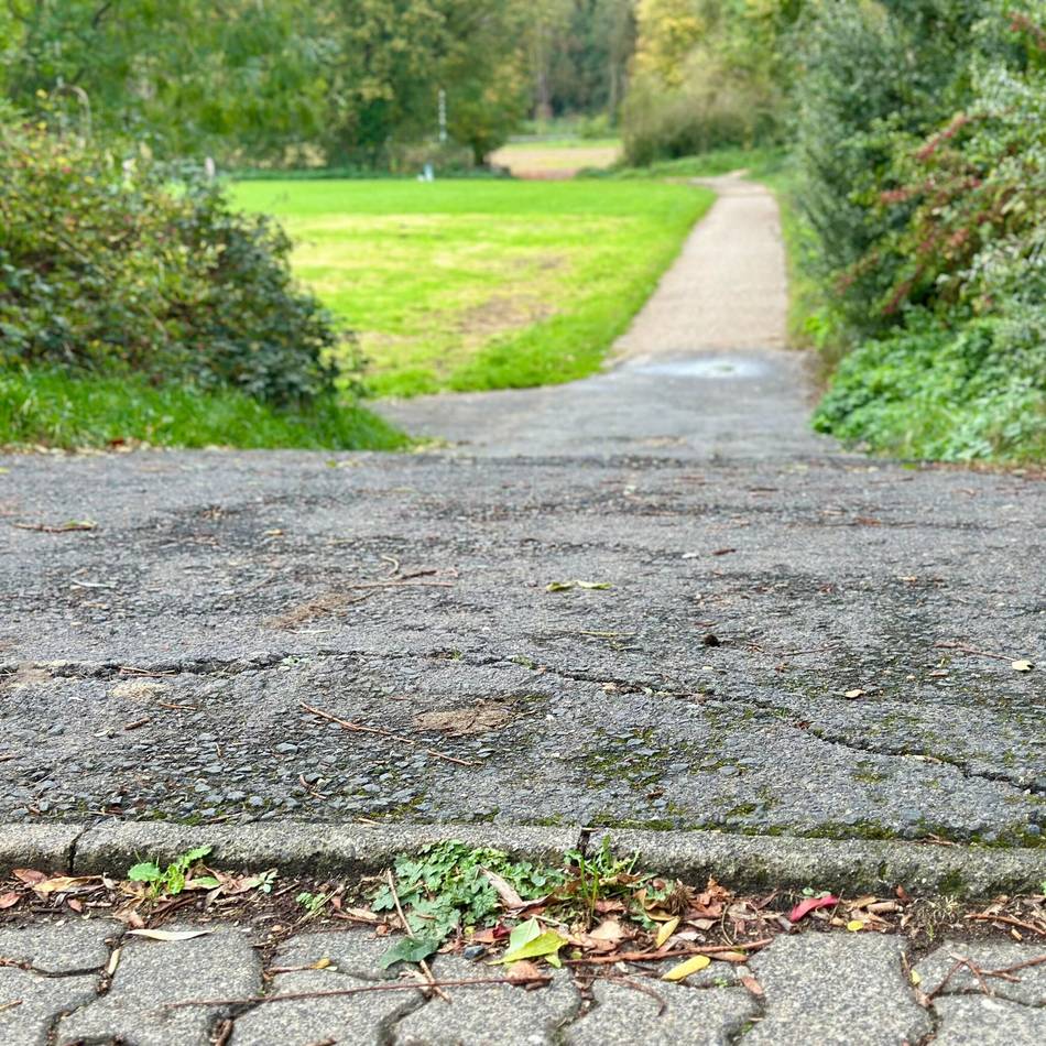 Bauarbeiten in der Südstadt: Weg zur Waldwiese soll flacher werden