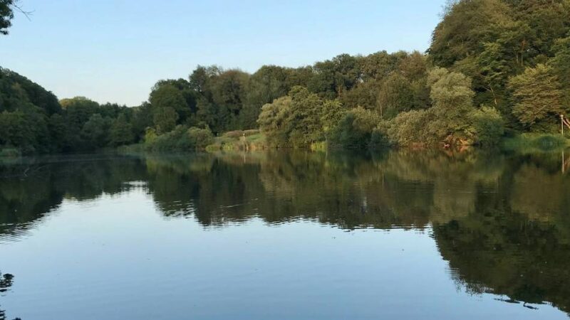 Vogelgrippe in NRW: Verdacht bei Reiher in Leverkusen nicht bestätigt