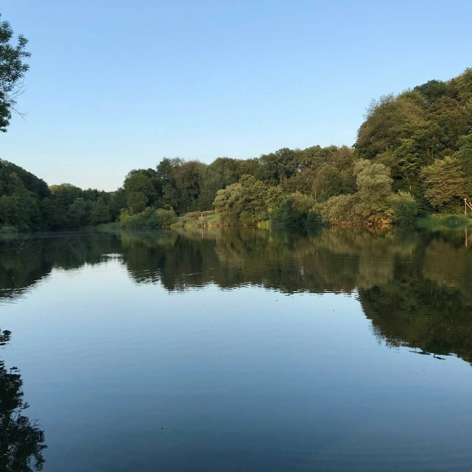 Vogelgrippe in NRW: Verdacht bei Reiher in Leverkusen nicht bestätigt