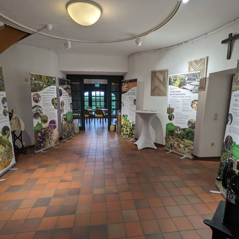 Mehr Grün, mehr Leben: „Naturgarten entdecken“ – neue Ausstellung in der Hohen Mühle in Uedem