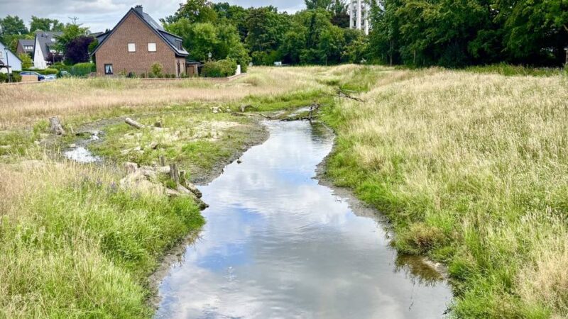 Flüsse in Düsseldorf : So kann die Stadt sich besser vor Hochwasser schützen