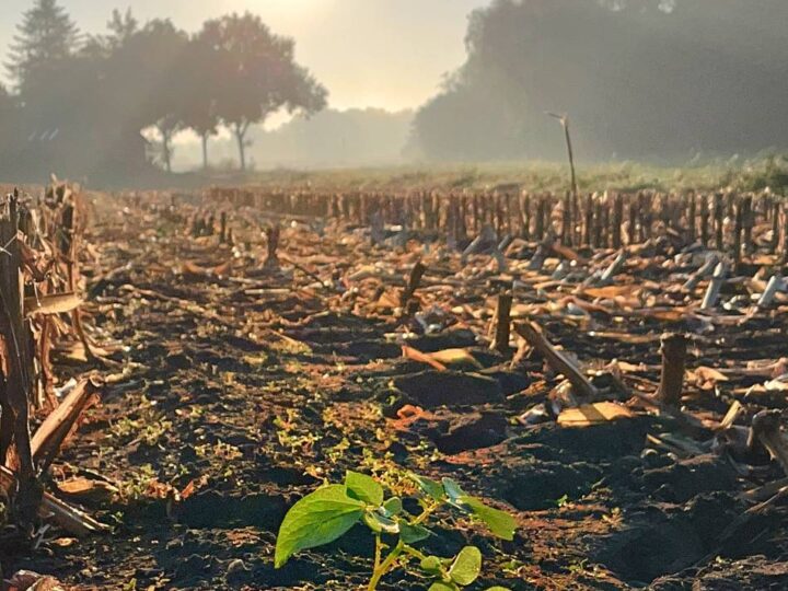 Fotoaktion mit unseren Lesern: Es wird Herbst im Kreis Viersen