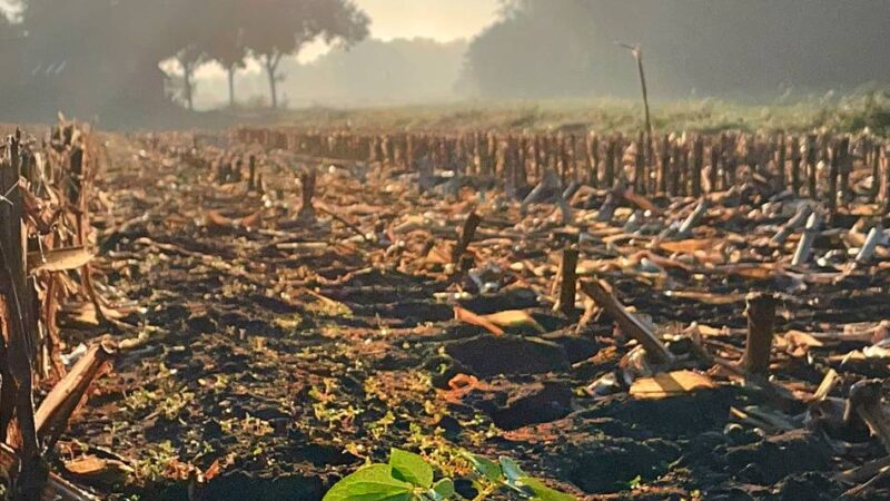 Fotoaktion mit unseren Lesern: Es wird Herbst im Kreis Viersen