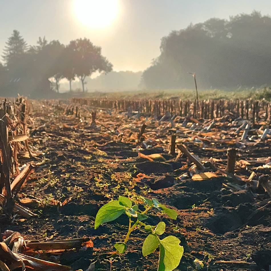 Fotoaktion mit unseren Lesern: Es wird Herbst im Kreis Viersen