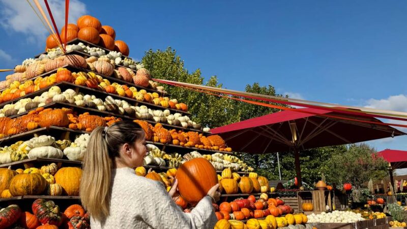 Rund um Leichlingen: Ausflug-Tipps und Termine für die Herbstferien