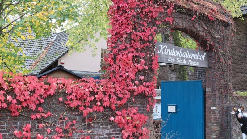 Fotos aus Parks und Gärten: So bunt leuchtet der Herbst in Neuss