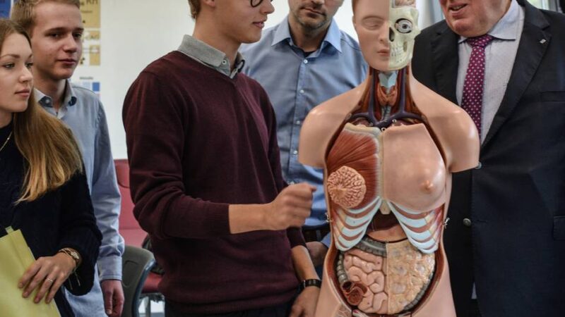 Elite-Internat Gaesdonck in Goch: Wie mit Kunst, Medizin und Wirtschaft Grundsteine fürs Studium gelegt werden