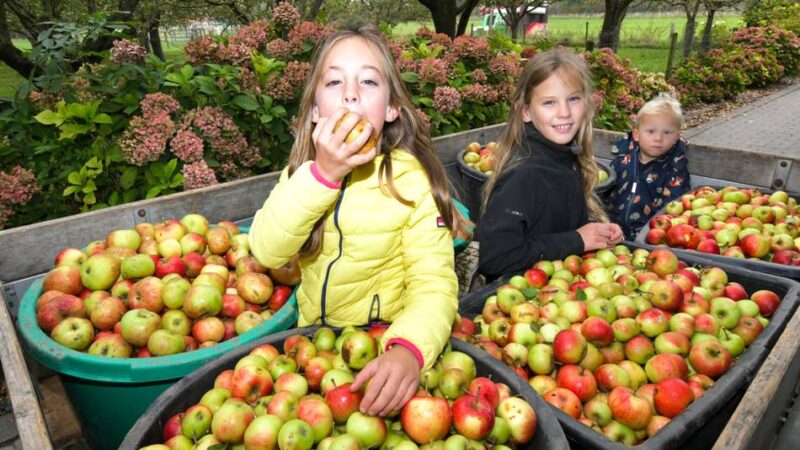 Apfelfest und mehr: Klever Schaarbude zeigt, was in heimischen Produkten steckt