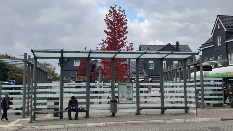 In der Region mit dem Bus unterwegs: Wie gut ist Wermelskirchens Nahverkehrsanbindung?