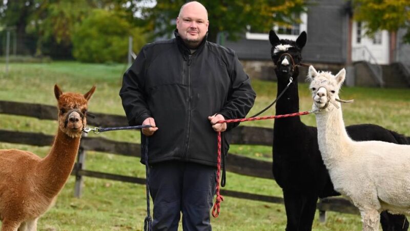 Landwirtschaft in Wermelskirchen: Der Bäcker und seine Alpakas