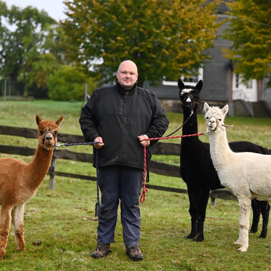 Landwirtschaft in Wermelskirchen: Der Bäcker und seine Alpakas