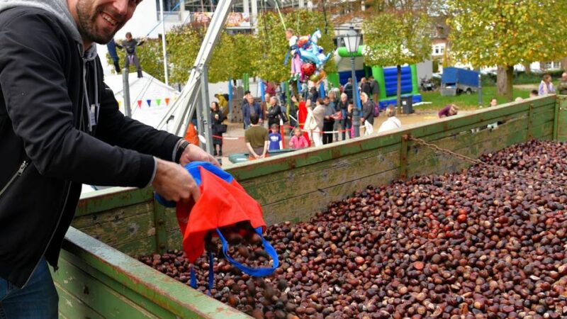Am 26. Oktober in der Rheinberger Innenstadt: Vorfreude aufs Kastanienfest am Sonntag