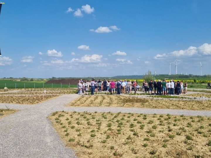 Am Tagebau Garzweiler: Pavillon an Erinnerungsstätte lässt auf sich warten