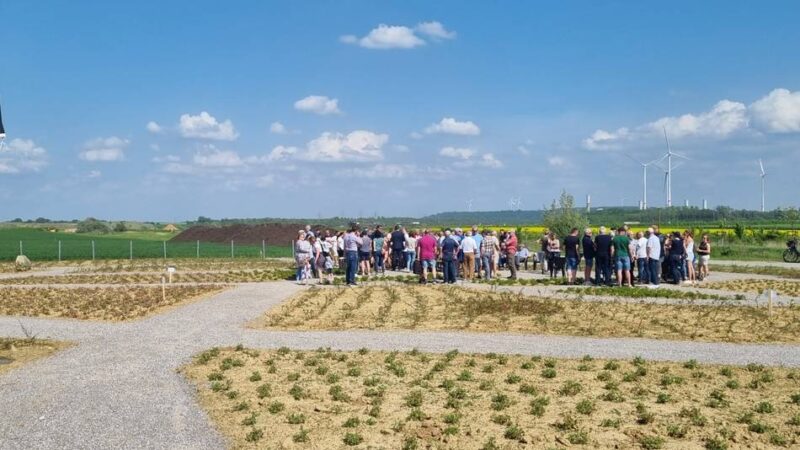 Am Tagebau Garzweiler: Pavillon an Erinnerungsstätte lässt auf sich warten