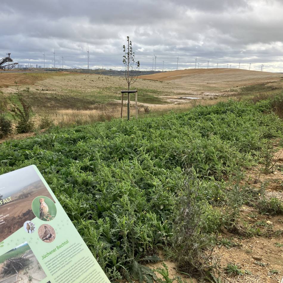 Neuer Hügel entstanden: Landschaft am Tagebau Garzweiler wächst