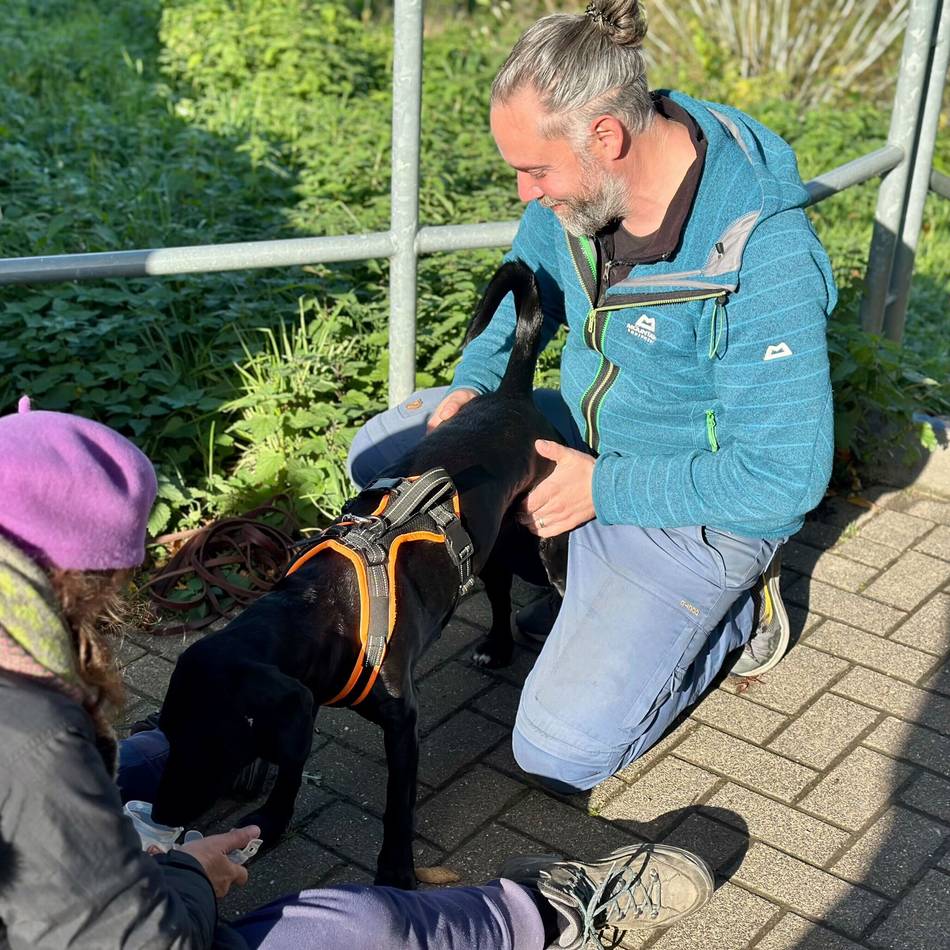 Mantrailer in Grevenbroich: „Wir bilden Suchhunde aus, die Leben retten“