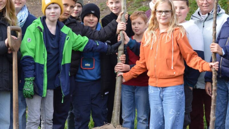 Geschichtswettbewerb des Bundespräsidenten: Gewinnprämie in die Natur investiert