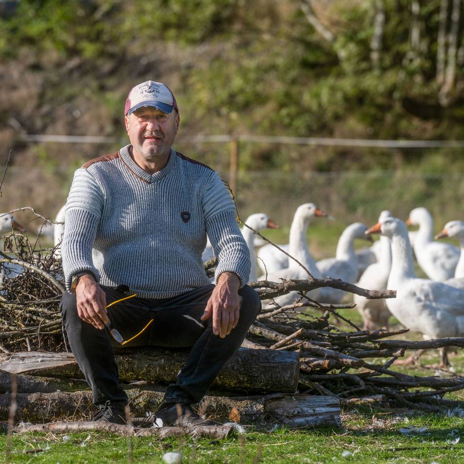 Preise in Moers und Umgebung: Brust oder Keule – so teuer ist die Martinsgans in dieser Saison
