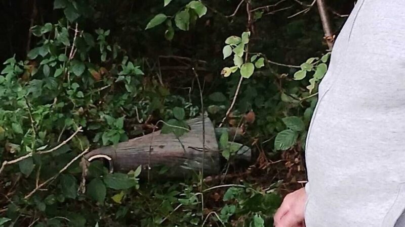 Nach Diebstahl der Statue in Granterath: Das „Kind mit der Katze“ soll wieder auferstehen