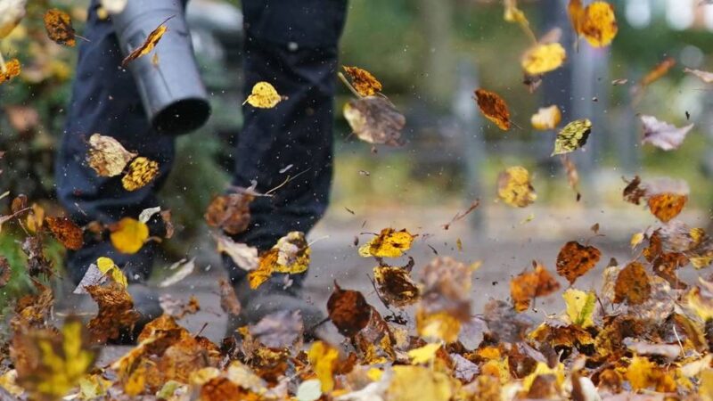Schlecht für Umwelt und Gesundheit?: Rhein-Kreis Neuss sagt Laubbläsern den Kampf an