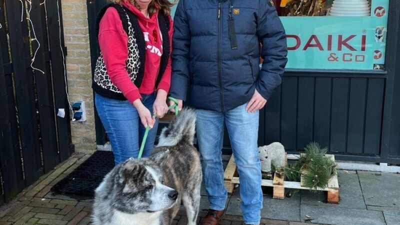 „Ameland ist ein Paradies für Hunde“: Deutsches Paar führt Hundeboutique auf niederländischer Urlaubsinsel