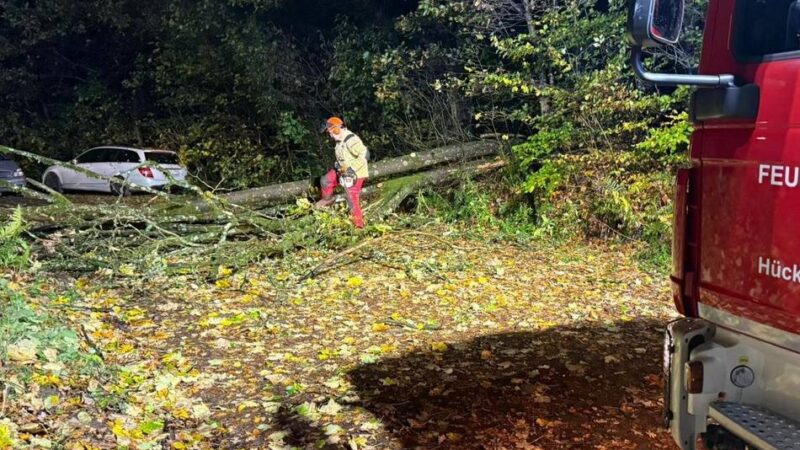 Umgestürzte Bäume in Hückeswagen: Sturmtief sorgt für drei Einsätze der Feuerwehr