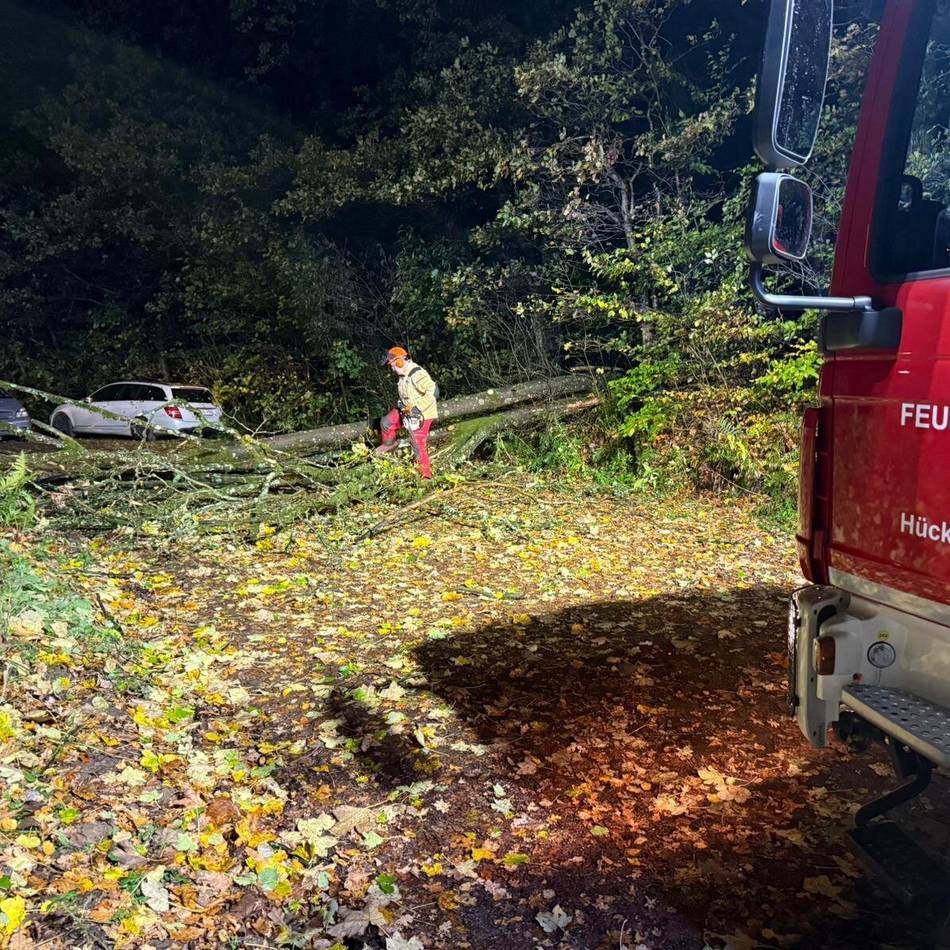 Umgestürzte Bäume in Hückeswagen: Sturmtief sorgt für drei Einsätze der Feuerwehr