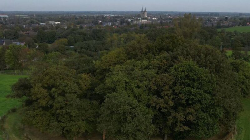 Führung über den Friedhof: Das Schicksal von jüdischen Menschen in Xanten