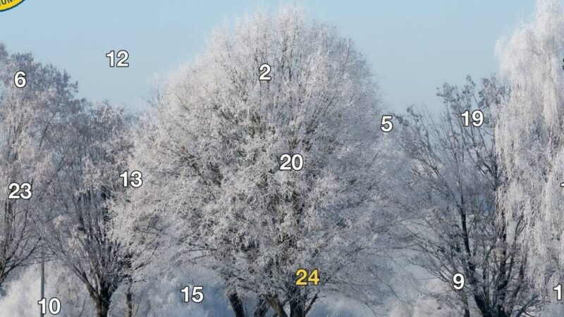 Aktion des Lions Clubs Wermelskirchen-Wipperfürth: Adventskalender des Lions Clubs sind gedruckt