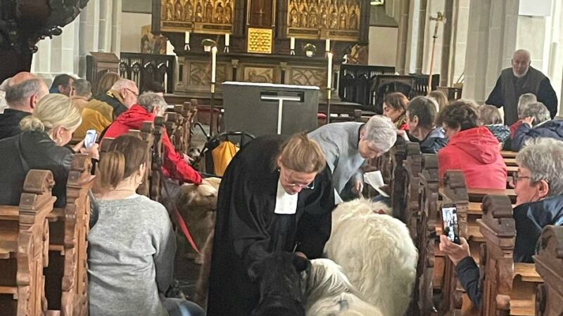 Aktion der Rheinberger Kirchengemeinden: Tiere wurden in der St.-Peter-Kirche gesegnet