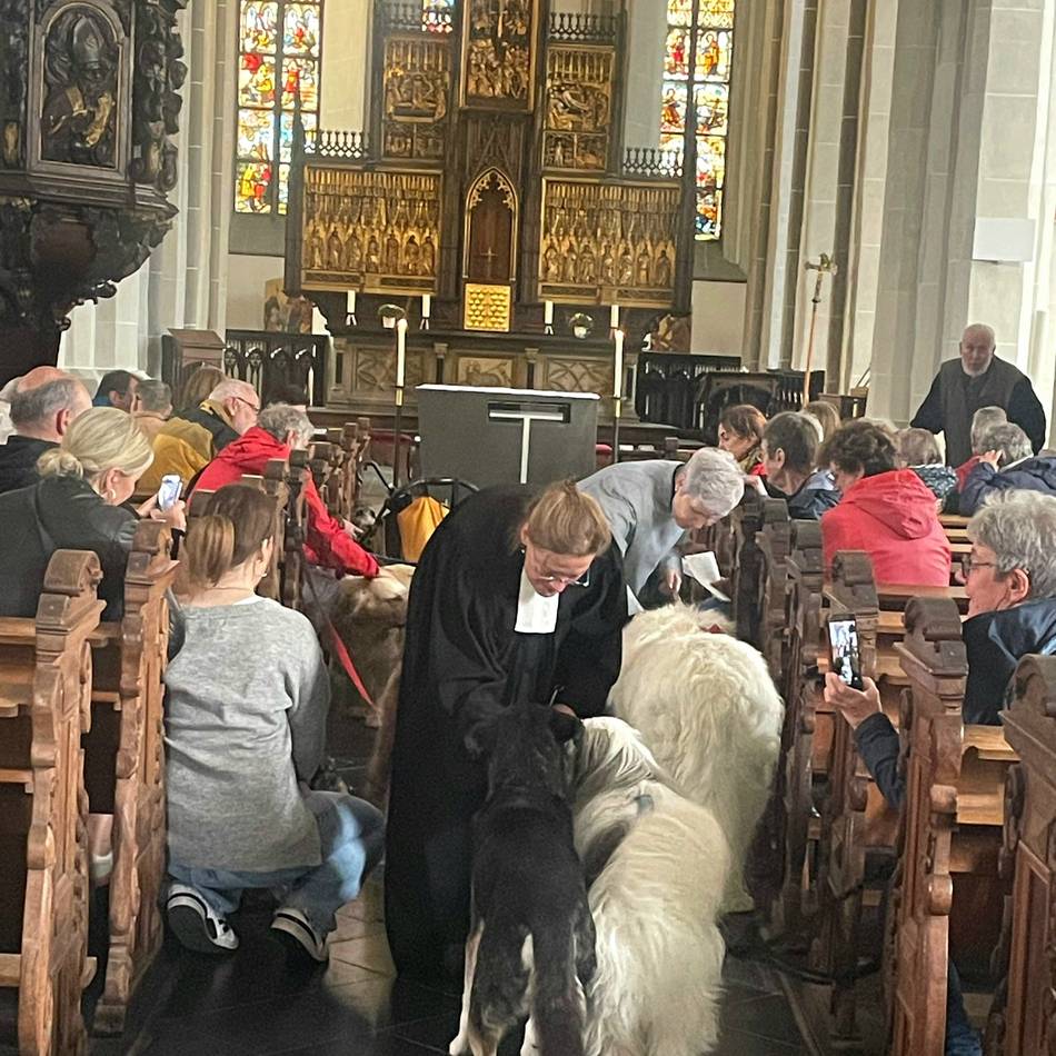 Aktion der Rheinberger Kirchengemeinden: Tiere wurden in der St.-Peter-Kirche gesegnet