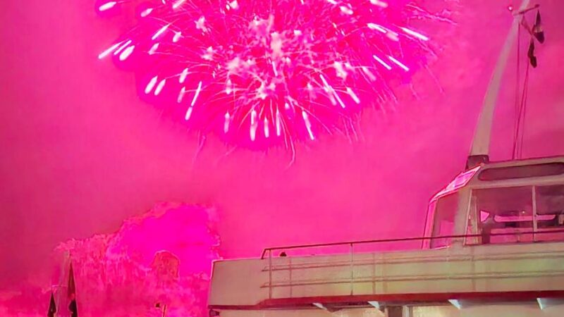 Xanten/Rees: Landwirtin beklagt sich über Feuerwerk – „Schreckliche 15 Minuten“