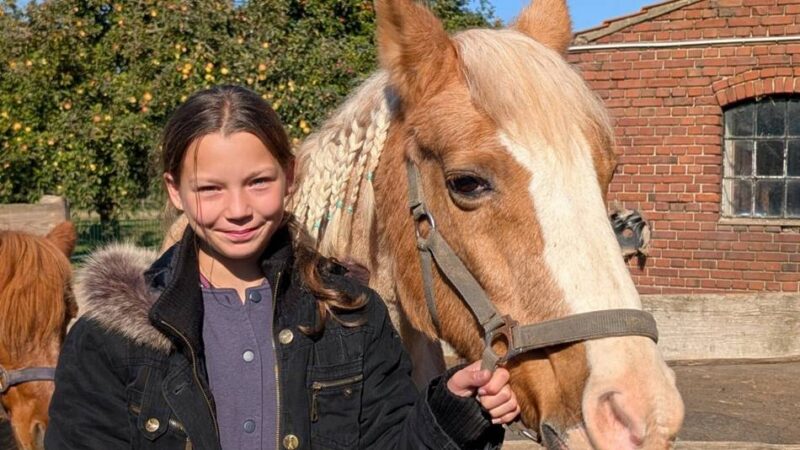 Sekundarschüler besuchen Krümelranch Alpen: Schulunterricht auf dem Tiergnadenhof