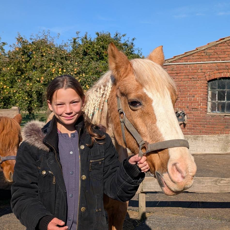 Sekundarschüler besuchen Krümelranch Alpen: Schulunterricht auf dem Tiergnadenhof