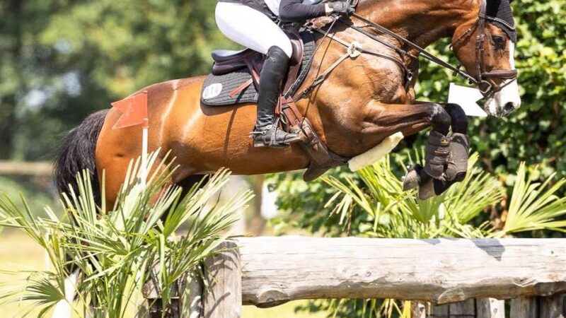 Deutsche Amateur-Meisterschaft in der Vielseitigkeit: Zwei Bronzemedaillen gehen in den Kreis Kleve