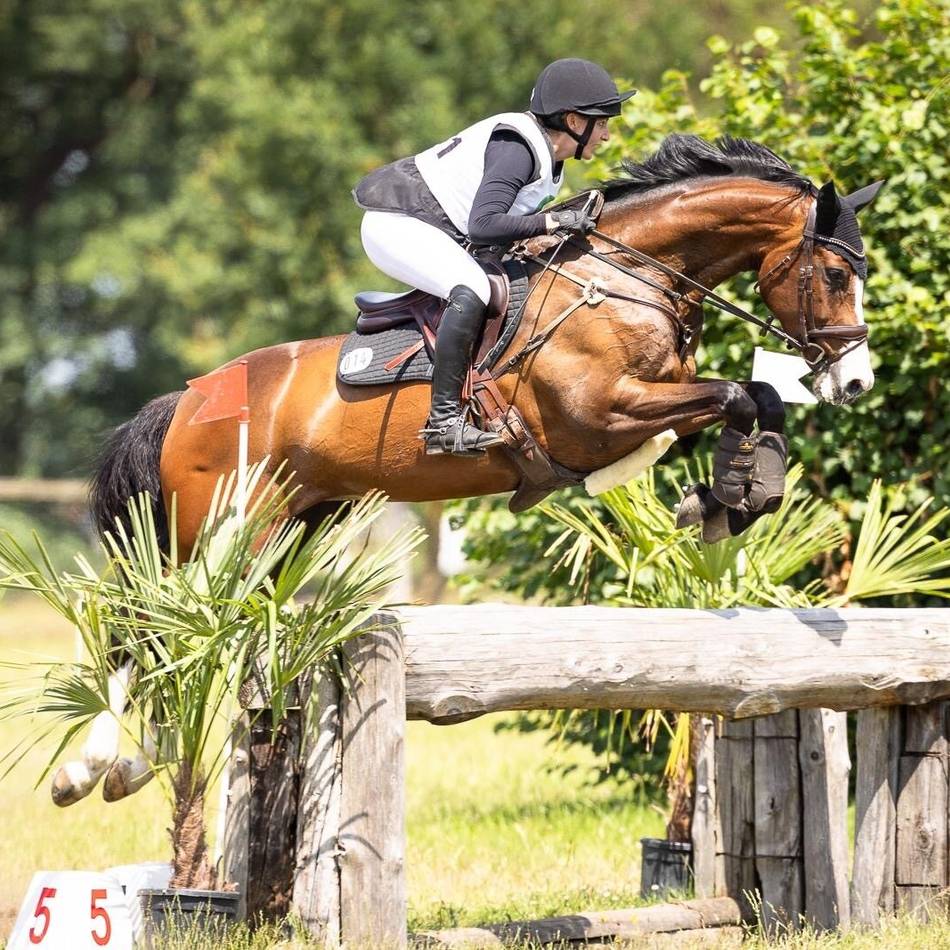 Deutsche Amateur-Meisterschaft in der Vielseitigkeit: Zwei Bronzemedaillen gehen in den Kreis Kleve