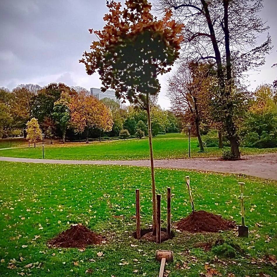 Gedenken in Düsseldorf : Erinnerung an den Tod von Sigi Strukmeier