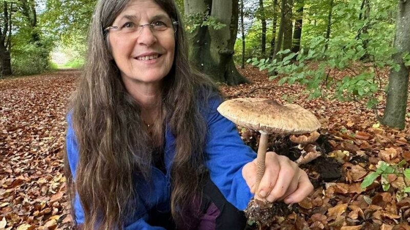 Pilz-Exkursion im Kreis Kleve: So schön sind Pilze im Reichswald – und so gefährlich