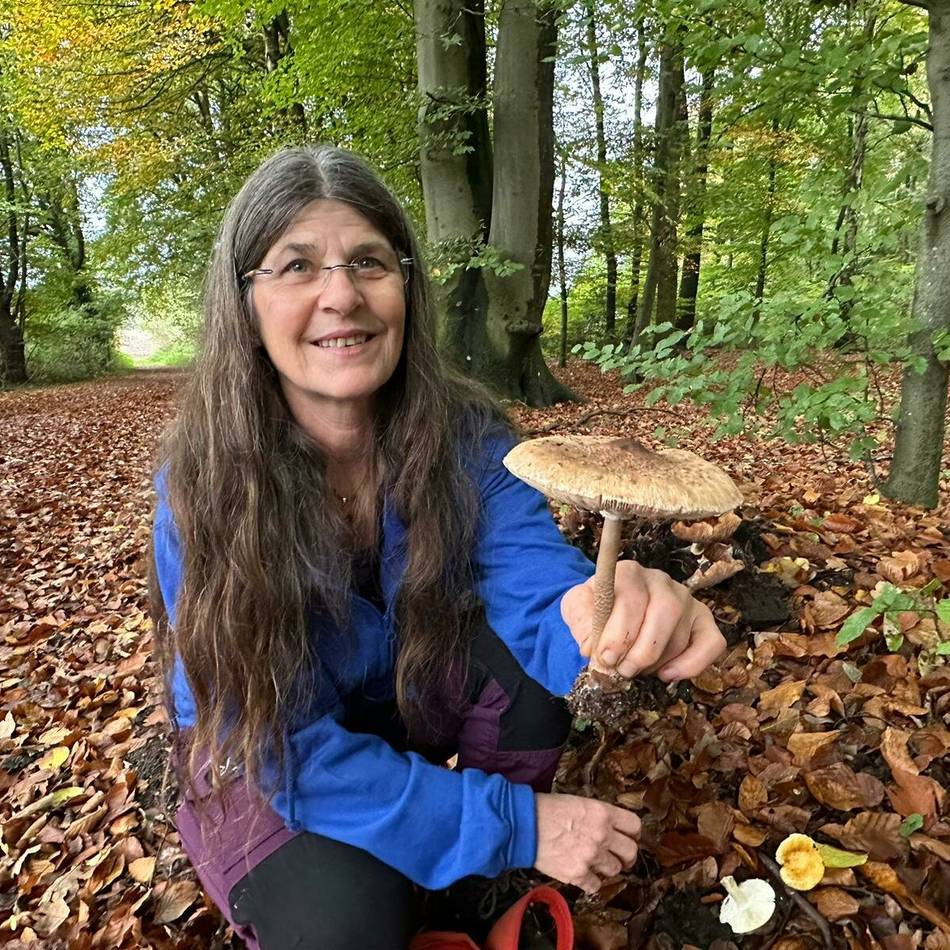 Pilz-Exkursion im Kreis Kleve: So schön sind Pilze im Reichswald – und so gefährlich