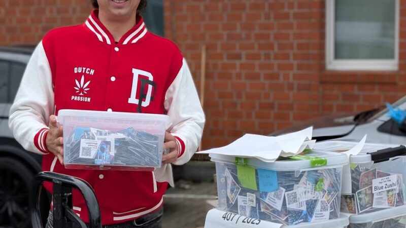 Nach Beschlagnahmung: Krefelder Zoll muss 20.000 Cannabissamen zurückgeben